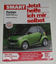 Reparaturanleitung Smart