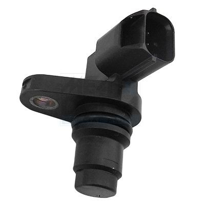 Meat doria sensor - meat,